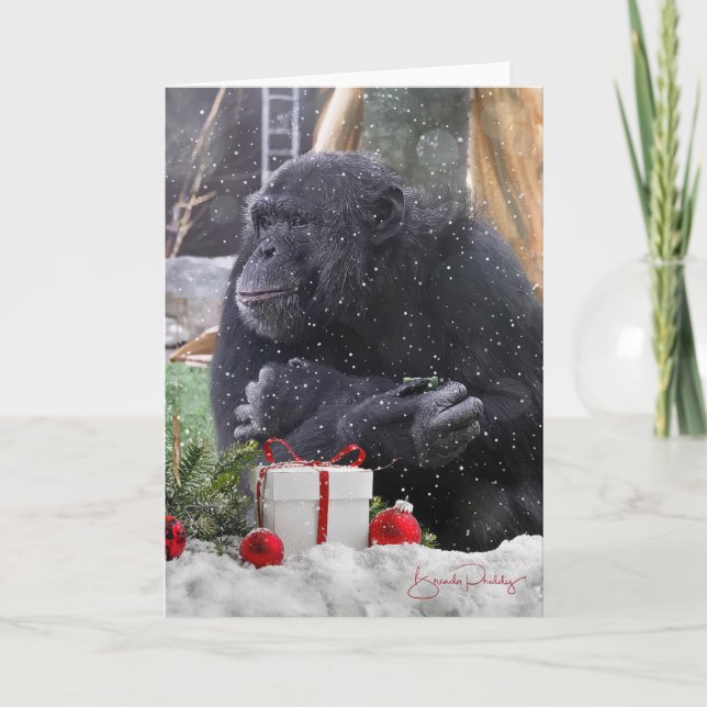 Cartão De Agradecimento Chimpanzés com alegria de Natal! Placa de Vazio 5x (Frente)