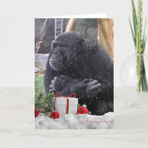Cartão De Agradecimento Chimpanzés com alegria de Natal! Placa de Vazio 5x