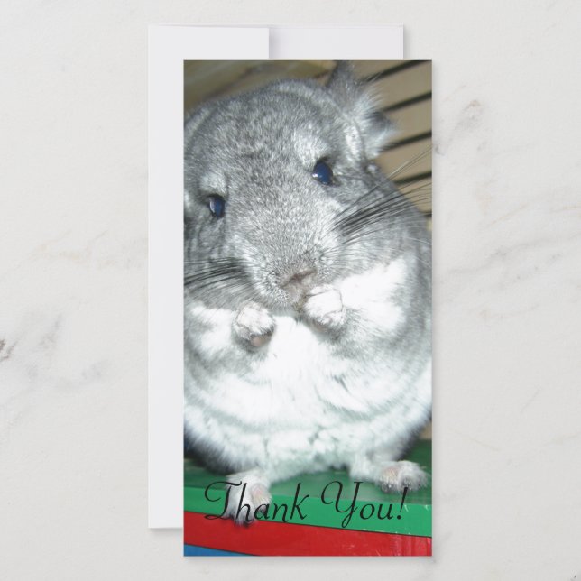 Cartão De Agradecimento Chinchila que está nos pés traseiros (Frente)