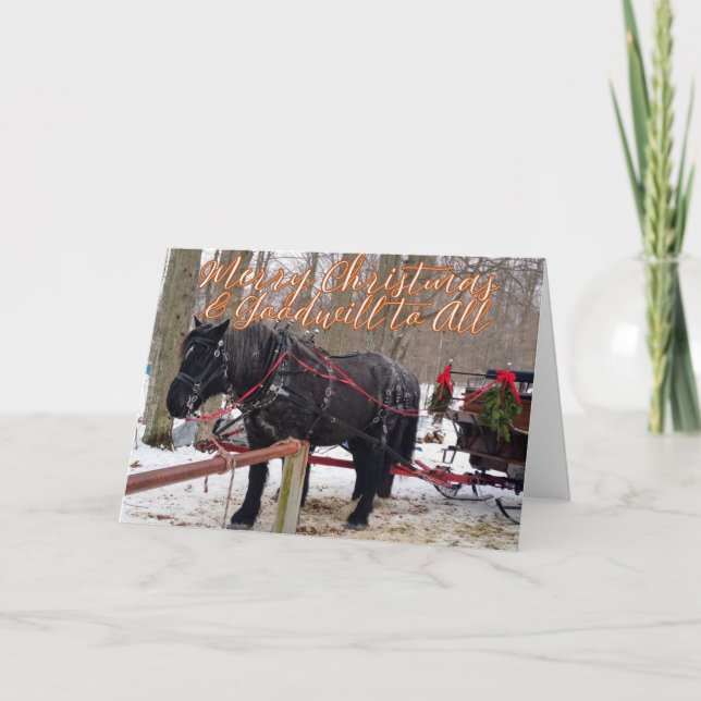 Cartão De Agradecimento Christmas Blessings of Hope, Joy, Peace and Love  (Frente)