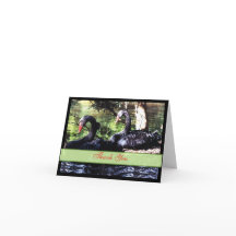 Cartão de Agradecimento Cisnes Pretos Companheiros