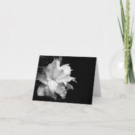 Cartão De Agradecimento Clematis H 3 Blank Note Card Condolences Sympathy