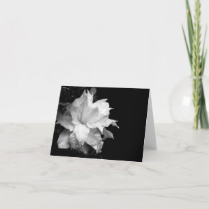 Cartão De Agradecimento Clematis H 3 Blank Note Card Condolences Sympathy