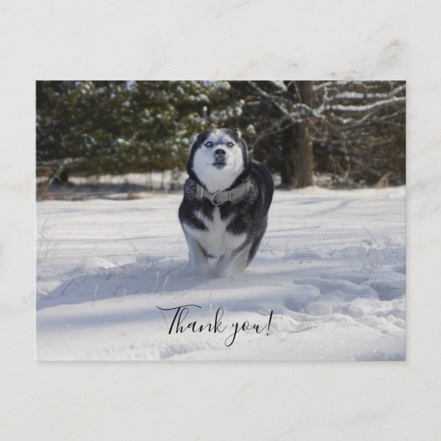 Cartão de Agradecimento Cobrança Através (Frente)