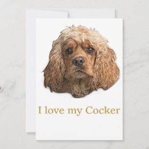 Cartão De Agradecimento cocker Spaniels