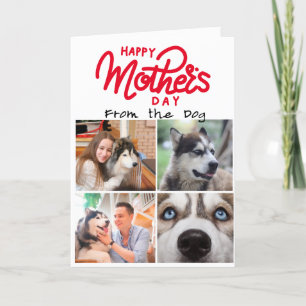 Cartão De Agradecimento Colagem personalizada de quatro fotografias para a