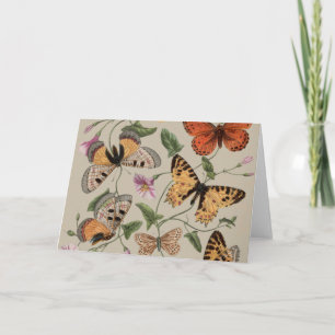 Cartão De Agradecimento Coleção de Desenhos de Mariposa Borboleta Natureza