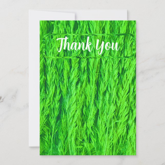 Cartão De Agradecimento Colheita de Sementes de Grama Verde Foto (Frente)