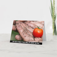 Colheita Escolhida à Mão, a Essência da Aliança da