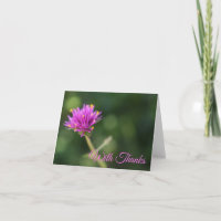 Com Obrigados Natureza Fotografia Flor Roxo