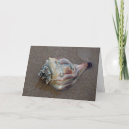 Cartão De Agradecimento Conch Shell na Praia