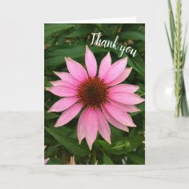 Cartão de Agradecimento Coneflower Roxo Brilhante