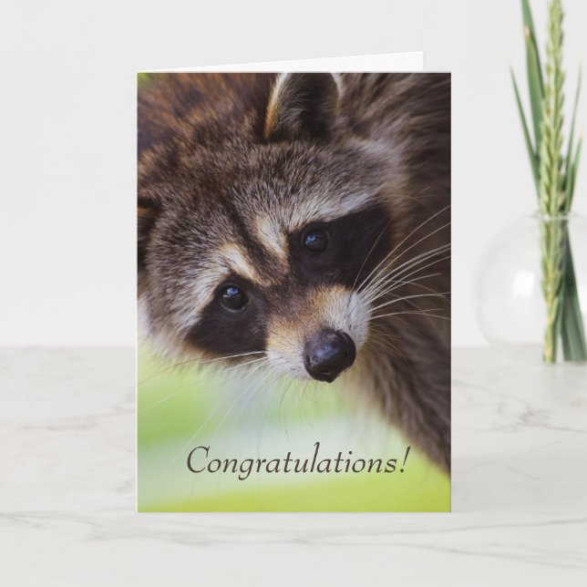 Cartão De Agradecimento Congratulations New Home Cute Raccoon Animal Fun (Frente)