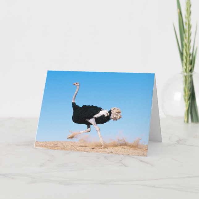 Cartão De Agradecimento Continue executando a placa de avestruz (Frente)