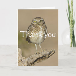 Cartão De Agradecimento Coruja Burgueira em uma costela Cholla