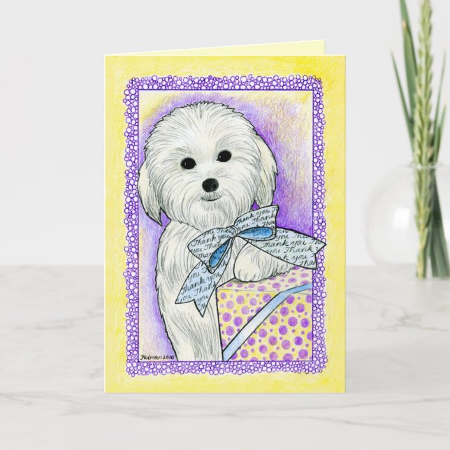 Cartão De Agradecimento Coton de Tulear Thank You Card (Frente)