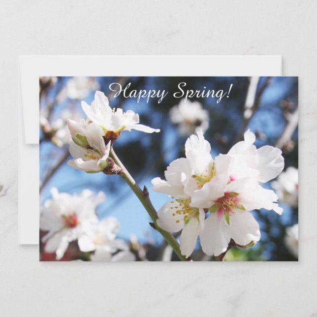 Cartão De Agradecimento Customizable Happy Spring Card  (Frente)