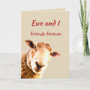 Cartão De Agradecimento Cute Funny Friends Forever Sheep Animal Humor