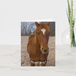 Cartão de Agradecimento da Pose do Cavalo