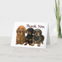 Dachshund Thank You Card