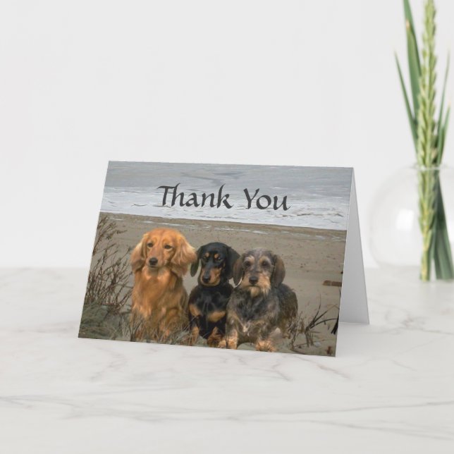 Cartão De Agradecimento Dachshund Thank You Card Beach (Frente)