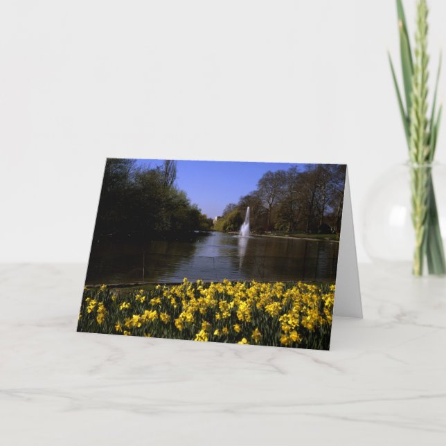Cartão De Agradecimento Daffodils Rua James's Park London (Frente)