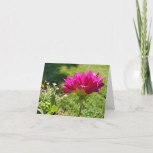 Cartão De Agradecimento Dahlia Rosa