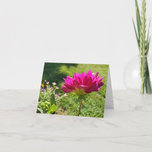 Cartão De Agradecimento Dahlia Rosa (Frente)