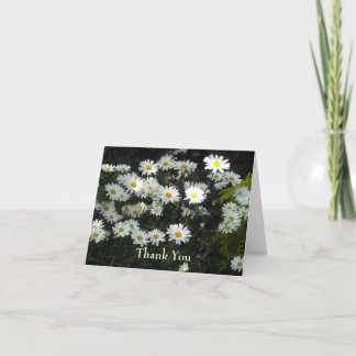 Cartão de Agradecimento Daisy