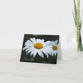 Cartão De Agradecimento Daisy - Enfrentar