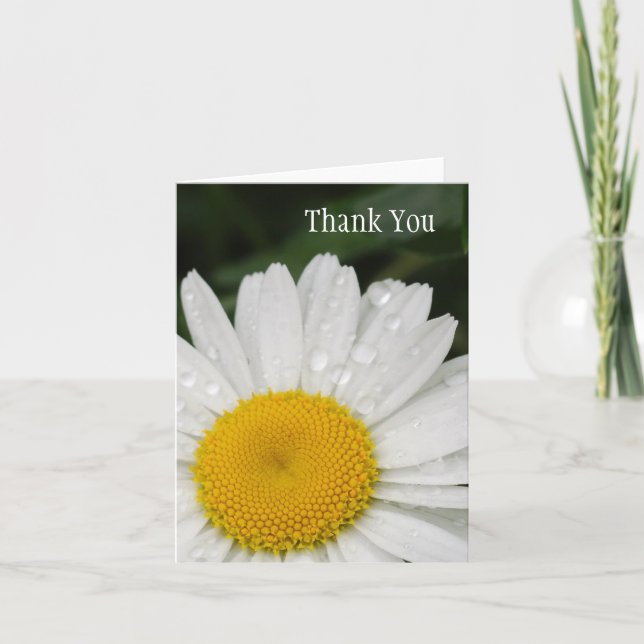Cartão De Agradecimento Daisy with Rain Drops All Occasion Notecard (Frente)