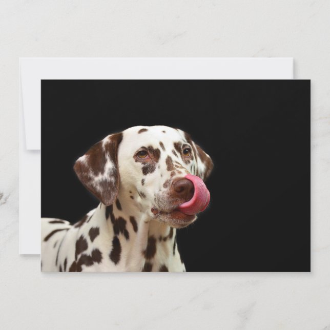 Cartão De Agradecimento Dalmatiner (Frente)