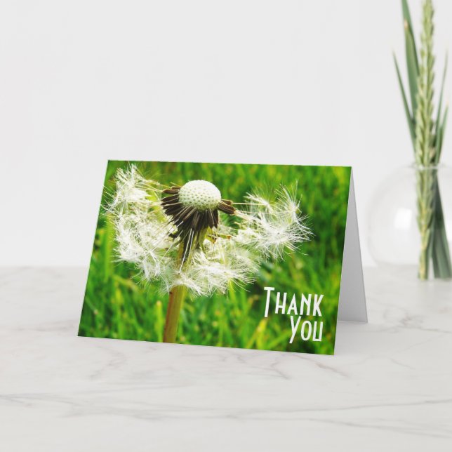 Cartão De Agradecimento Dandelion Desejos - Obrigado por ser meu desejo (Frente)