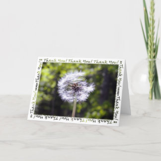Cartão De Agradecimento Dandelion Snow Thank You Card