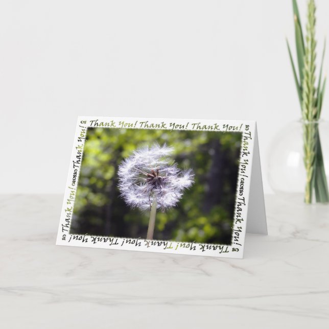 Cartão De Agradecimento Dandelion Snow Thank You Card (Frente)