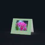 Cartão De Agradecimento Dark Pink Roses<br><div class="desc">Gorgeous pink roses adorn the front of this pretty card.  Easily change the message for a birthday,  Mother's Day,  Get Well Soon,  or just say hello.   Card is blank on the inside or may be personalized by you.  Include a sheet of our coordinating postage stamps for a great gift!</div>