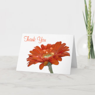 Cartão de Agradecimento de Casamento - Gerbera Mar