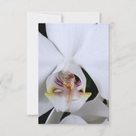 Cartão de agradecimento de flor de orquídea branca
