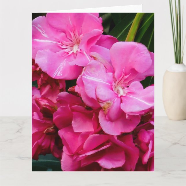 Cartão de agradecimento de flores cor-de-rosa (Frente)