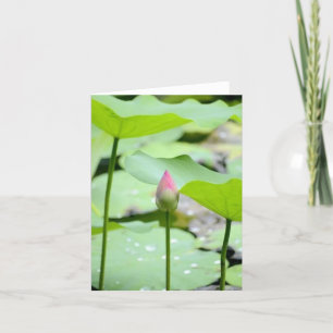 Cartão de Agradecimento de Folha Dupla