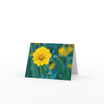 Dentro de Vazio de placa dobrada