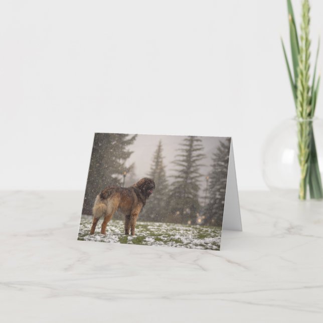 Cartão De Agradecimento Desejando paz (Frente)