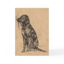Desenho de cão Labrador
