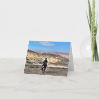 Desert Donkey