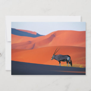 Cartão De Agradecimento Desertos   Namib Desert Oryx