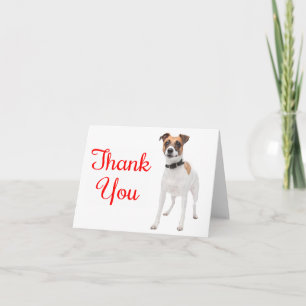 Cartão de Agradecimento do Cachorrinho Jack Russel