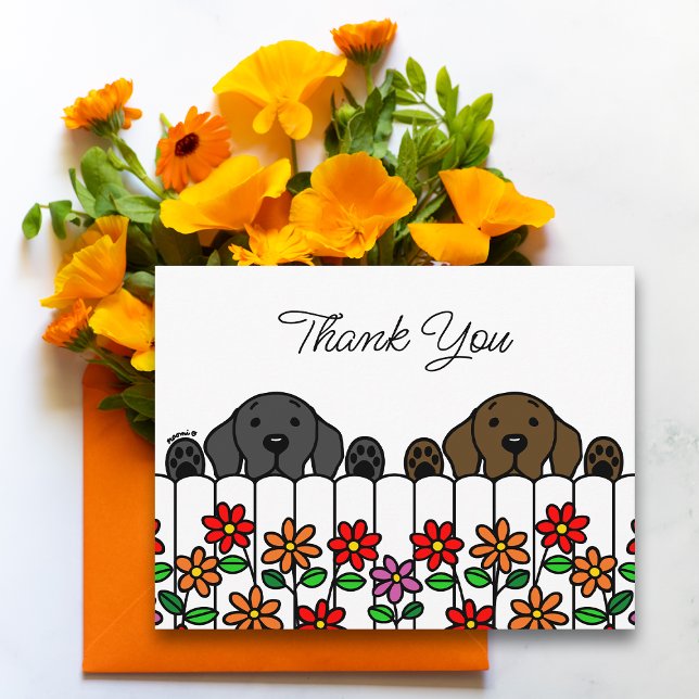Cartão de agradecimento do Duo Labrador Observando (Labrador Watching You Thank You Postcard for Labrador Owners.  Black Lab and Chocolate Lab Design.)
