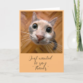Cartão de agradecimento do gato laranja
