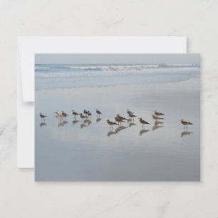 Cartão De Agradecimento Do vazio Shorebirds para trás na natureza da prai