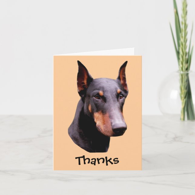Cartão De Agradecimento Doberman Pinscher Face Dog Thank You Card (Frente)